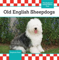 Old_English_Sheepdogs