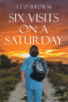 Six_Visits_on_a_Saturday