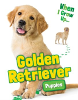 Golden_Retriever_Puppies