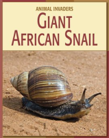 Giant_African_Snail