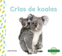 Cr__as_de_koalas__Koala_Joeys_