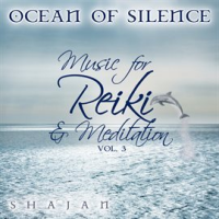 Ocean_of_Silence_-_Music_for_Reikii_and_Meditation__Vol__3