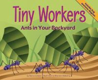 Tiny_workers