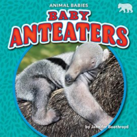 Baby_Anteaters