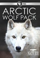 Arctic wolf pack