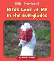 Birds_Look_at_Me_in_the_Everglades