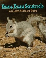 Busy__busy_squirrels