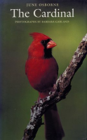 The_Cardinal