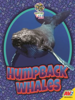 Humpback_Whales