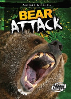 Bear_Attack