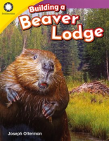 Building_a_Beaver_Lodge
