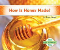 How_Is_Honey_Made_