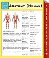 Anatomy__Human_