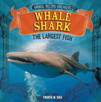 Whale_Shark__The_Largest_Fish