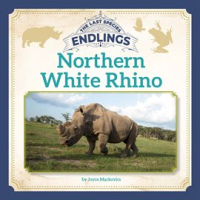 Northern_White_Rhino