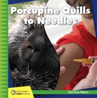 Porcupine_Quills_to_Needles