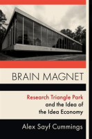 Brain_Magnet