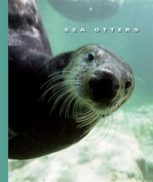 Sea_Otters