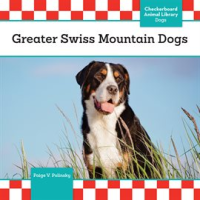 Greater_Swiss_Mountain_Dogs