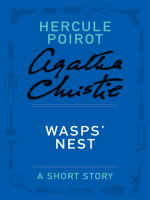 Wasps__Nest