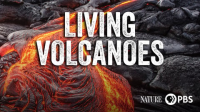 Nature__Living_Volcanoes