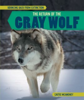 The_Return_of_the_Gray_Wolf