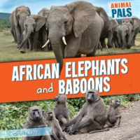 African_Elephants_and_Baboons
