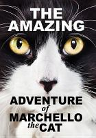 The_amazing_adventure_of_Marchello_the_cat