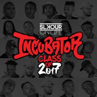 SOL_Incubator_Class_of_2017